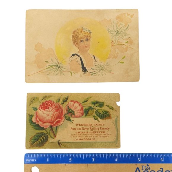 Victorian Trade Cards Woods Palatable Chill Tonic Western Remedy Advertisement - Picture 7 of 8